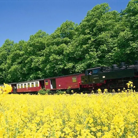 Sonnenschein Appartement Ostseebad Kühlungsborn